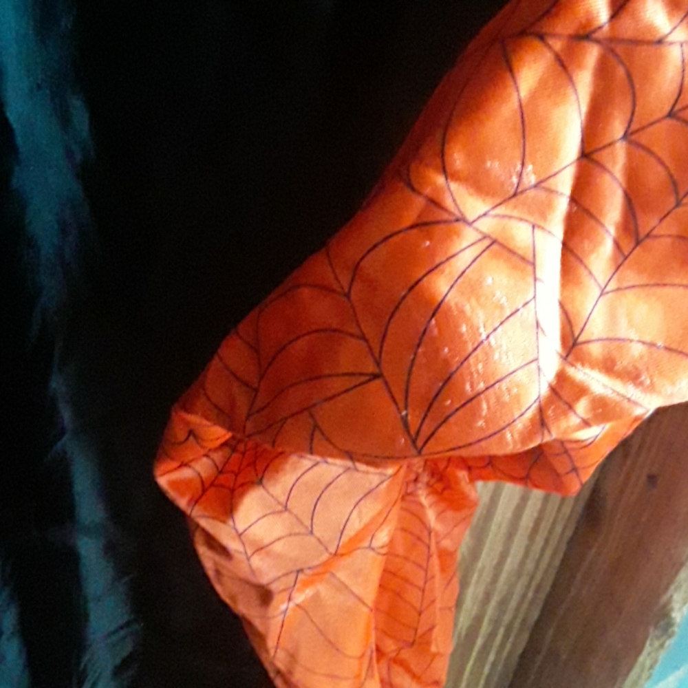 CUSTUME CO. SPIDERMAN  HALLOWEEN  COSTUME - Picture 3 of 6